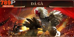 Đá Gà Online 789p